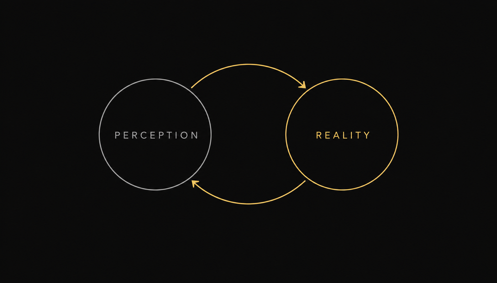Perception Is Reality. And Reality Rewrites Perception.